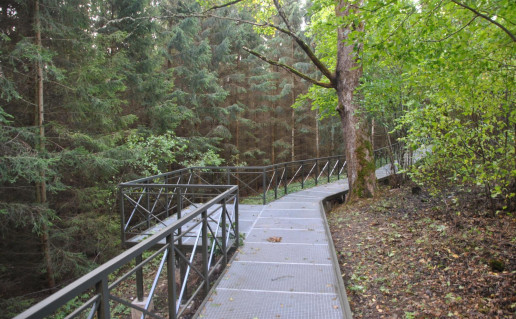 33. Salanto žemupio pažintinis takas.jpg